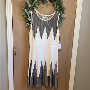 NEW Petite Calvin Klein Cream and Black Dress